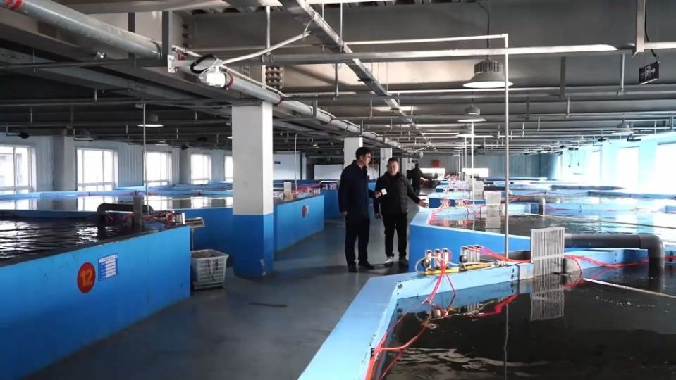 冬日暖陽里，聽一曲鄉(xiāng)村振興的“魚米”交響