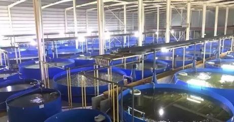 德清漁業(yè)養(yǎng)殖尾水治理成果顯著，再獲國家級(jí)專家關(guān)注