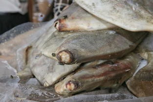 破冰專項(xiàng)行動(dòng)顯威，黃埔海關(guān)查獲31億元特大走私進(jìn)口凍水產(chǎn)品案