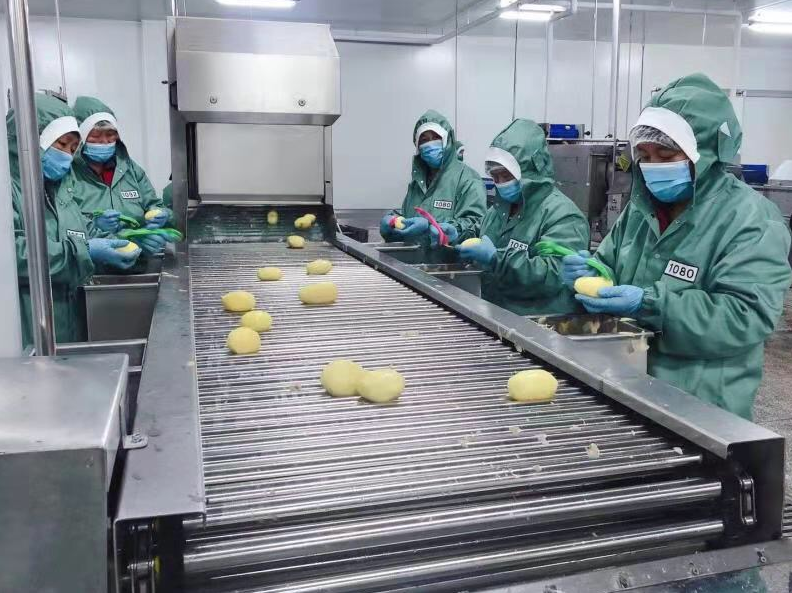 安徽淮北 延伸果蔬加工產業鏈，出口罐頭生產忙，激活食用農產品批發新動能